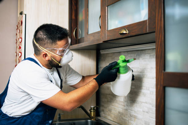 Best Exterminator Services  in Elfers, FL
