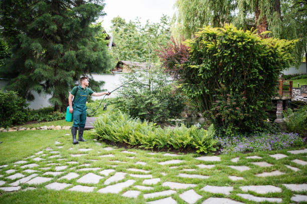 Best Affordable Pest Control Services  in Elfers, FL