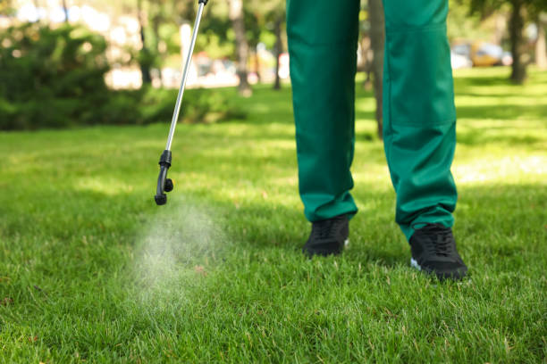 Best Residential Pest Control  in Elfers, FL