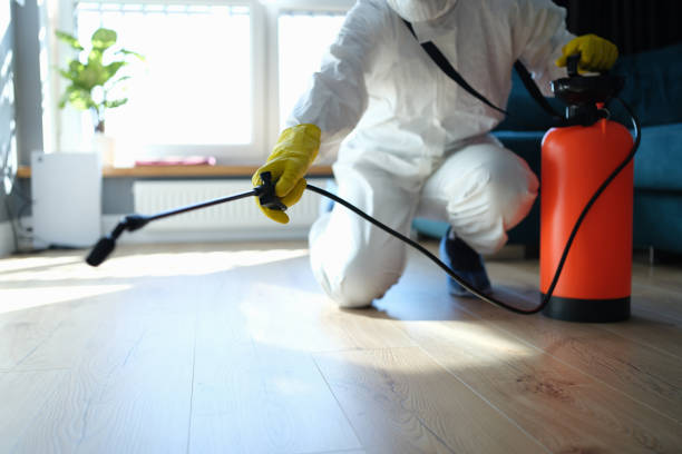 Best Affordable Pest Control Services  in Elfers, FL
