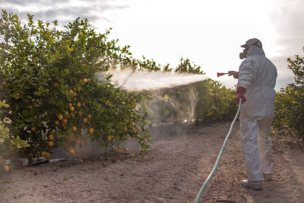 Best Best Pest Control Companies  in Elfers, FL