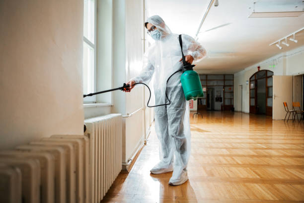 Best Emergency Pest Control  in Elfers, FL