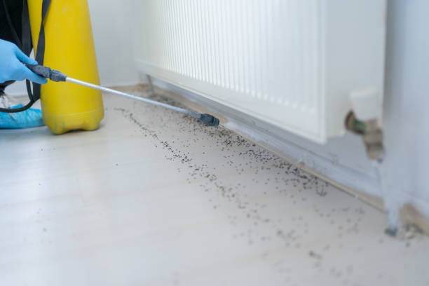 Best Pest Control Cost  in Elfers, FL