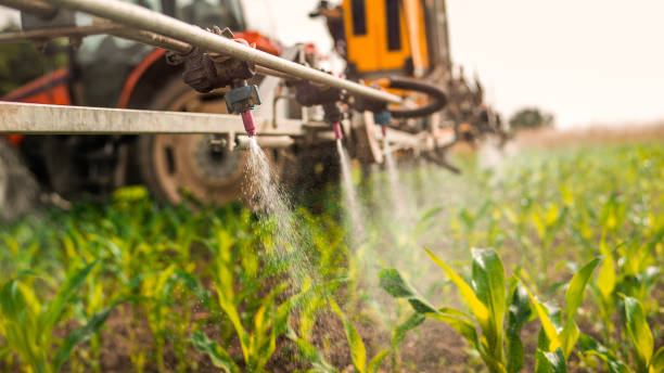 Pest Control Cost in Elfers, FL